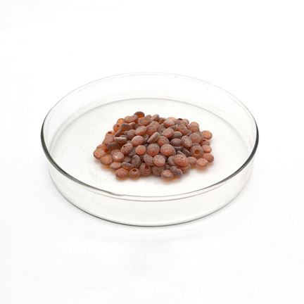 ரப்பர் ஆக்ஸிஜனேற்ற டி.எம்.க்யூ